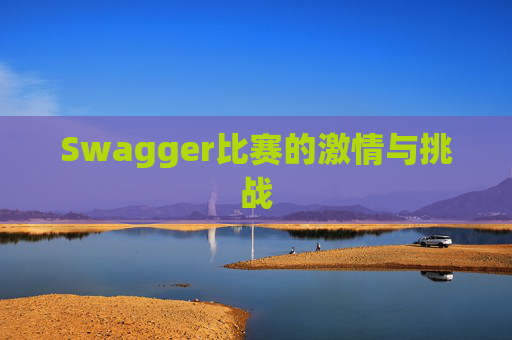 Swagger比赛的激情与挑战