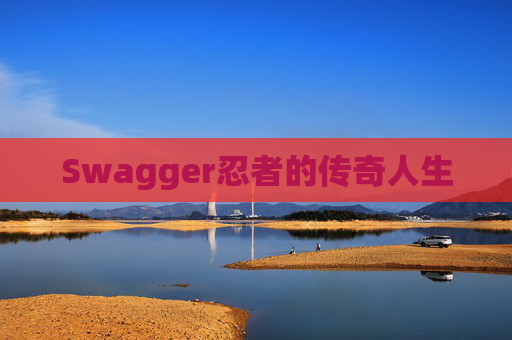 Swagger忍者的传奇人生